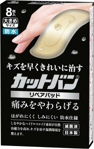 yP10{I1410:00-1623:59zJbgoyApbh (2) 傫߃TCY 8 3.0×7.0cm