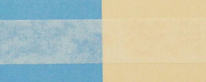 �X�L�i�Q�[�g�X�p�b�g �������p�b�N (4) SGS12 8����