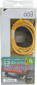 yP10{I420:00-111:59zGRXgbp[ ԁEJSԃLX^[p 2 (1) ԗ֌o75mmp