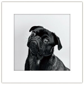 �A�[�g�g���� (1) 5��