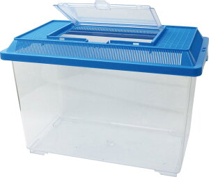 yP10{I1410:00-1623:59z牤vP[X@@u[@݌Ɍ@ qǂ P[X     ̏W ώ@ Ƃ ċx