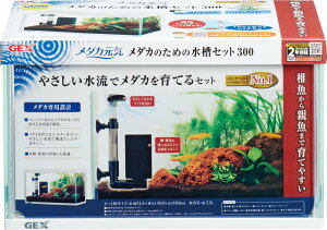 _JC _Ĵ߂̐Zbg (1) 300