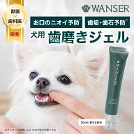 【公式】ハグキスマイル 犬 歯磨き ジェル 30ml 約1ヶ月分 歯科医×獣医師開発 WANSER 歯石取り 口臭ケア…