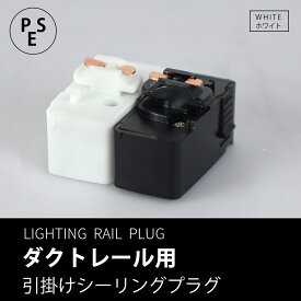 ダクトレール用プラグ(照明器具部品) プラグ ダクトプラグ ダクト用プラグ 白 ホワイト ダクトレールプラグ ライティングレールプラグ 照明 ライティングレール用