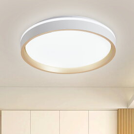 【マラソン期間限定★300-500円クーポン!】シーリングライト led 6-10畳 調光 室内 和室 照明 リモコン付き タイマー おしゃれ 35W/48W コンパクト 居間 寝室 和風 玄関 天井 廊下 書斎 書房 新居 取付簡単 省エネ 長寿命【3年保証】