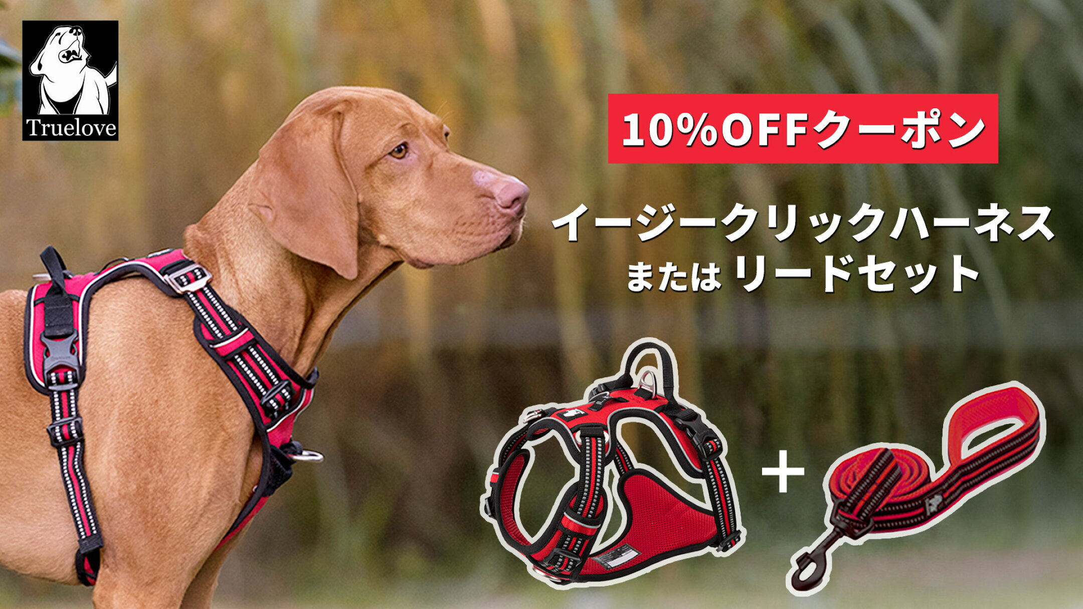 イージークリックハーネスリードセット専用クーポン