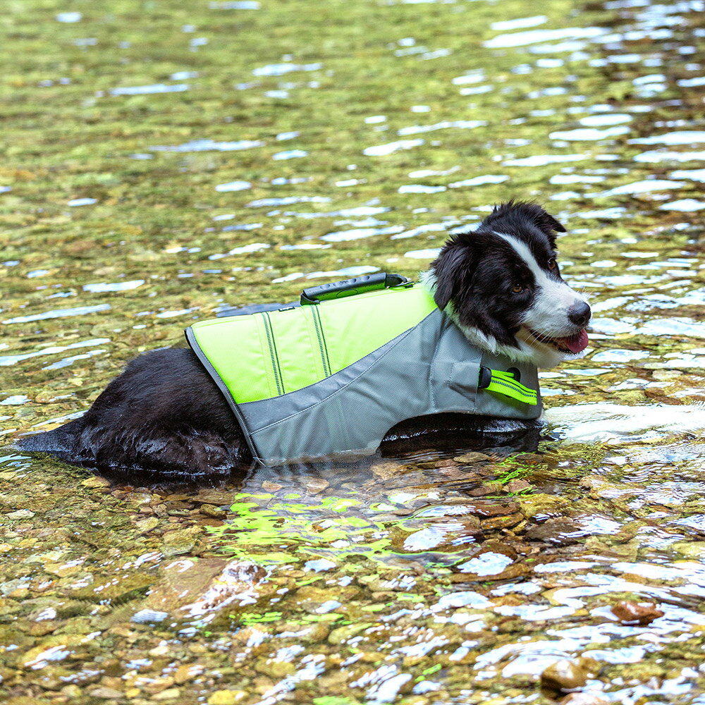 犬のライフジャケット｜海や川遊びに！ペット用救命胴衣のおすすめは？
