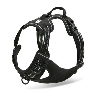 ̃n[lX p n[lX   nht nbV \tg ^ ^ ^ ^ Truelove uh i ȒP nhn[lX Ռz TLH5651