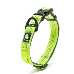   \tg lIv Truelove uh  S y ^ ^ ^ ɂȂ \tglIvJ[  TLC5271