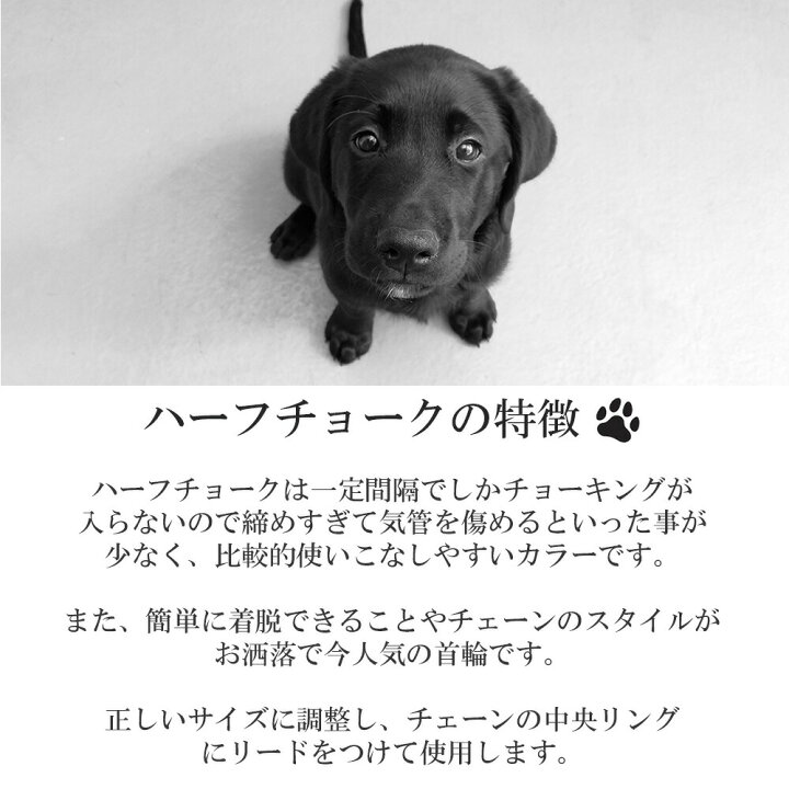 楽天市場 犬 首輪 ハーフチョーク ステンレス チェーン しつけ 引っ張り 匂い取り 拾い食い 歩行訓練 バックル付き 簡単装着 中型犬 大型犬 やわらかい おしゃれ Wanwan Square Garden