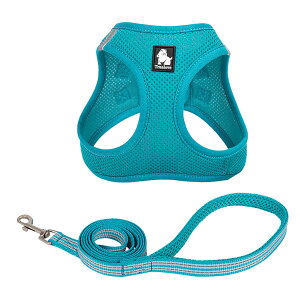  n[lX [h ^ L y K bVNbV v ʋC  ȒP Truelove uh ^b`obN Up  ː݌v ^ybgpn[lX [hZbg 