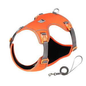 Truelove  n[lX [hZbg ^ ^ KXpfbNX iC S5F 3Mˑf y ʋC _炩 bV ₷  y L ybg EȂ Ȃ