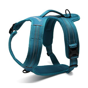  n[lX Yn[lX ⋹ւ̕SȂ ȒP y bV K ^ ^p ₷ ^e^nh Truelove Lv U S ϋv v iC \tgpbh