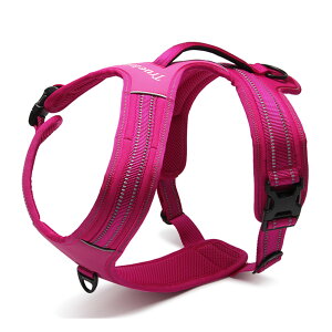  n[lX Yn[lX ⋹ւ̕SȂ ȒP y bV K ^ ^p ₷ ^e^nh Truelove Lv U S ϋv v iC \tgpbh