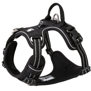  n[lX K bV ȒP SȂ ₷ ^ ^ ^ Truelove uh AEghA U S Ђςh~  g[jO ϋvQ v iC \