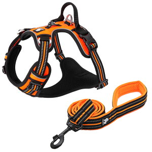  n[lX [h Zbg K bV SȂ ȒP ^ ^ ^ ₷ Truelove AEghA U Ђςh~  g[jOv iC \tgpbh V