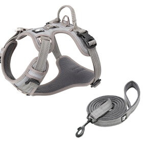  n[lX [h Zbg K bV SȂ ȒP ^ ^ ^ ₷ Truelove AEghA U Ђςh~  g[jOv iC \tgpbh V