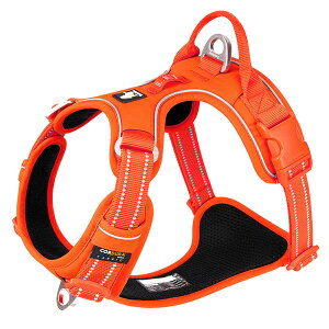  n[lX nbV ʋC 炩 S̏Ȃ R[f v~A Truelove uh Ȃ ԈS @\ b ^b` obN 3F/5TCY ^ ^ 