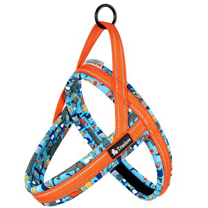  n[lX ^ ^ p n[lX  Truelove uh ₷ NbV \tgpbh ȒP K X|[cn[lX nbs[p^[ TLH58122