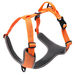  n[lX p n[lX ^ ^ Truelove uh  \tgpbh ȒP K y tNeBun[lX  TLH6071