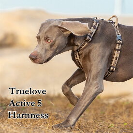 犬 ハーネス 最強フィット H型 胴輪 ネオプレン 高耐久 抜けにくい 3M反射 安全設計 簡単着脱 小型犬 中型犬 大型犬 散歩 しつけ トレーニング Truelove アクティブ5 TLH6172