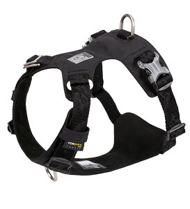 �yP10�{�I�z�� �n�[�l�X ��������h�~ �y�� ���K �R�[�f���� ��v �h�� �ʋC�� ������� ���^�� ���^�� ��^���p �ȒP���� TrueLove �v���~�A�� �ϋv�����Q �����^�b�`�o�b�N�� �U���p ���� �A�E