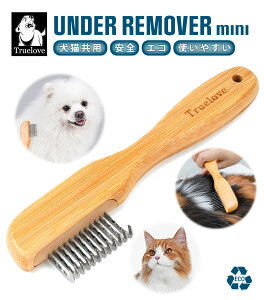 Truelove p wA[o[ юp | XeX| TCY я pi Lp ybgp ₷ v  GR XeX O[~O ubVO ɗD