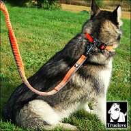犬 リード 犬用 リード 伸縮リード 小型犬 大型犬 ロングリード カニクロス ドッグマラソン ジョアリング…