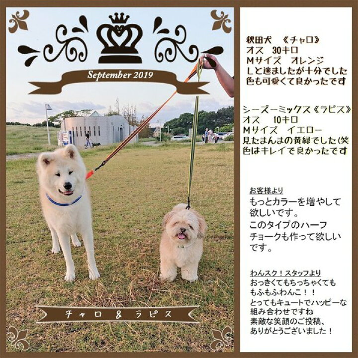 楽天市場 犬 リード 犬用 リード 中型犬 大型犬 持ちやすい ソフトハンドル おしゃれ 超大型犬 小型犬 スタンダードリード メール便送料無料 Wanwan Square Garden