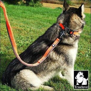 伸縮リード 中型犬の通販 価格比較 価格 Com