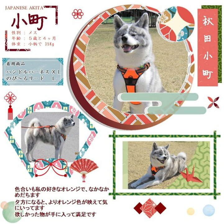 楽天市場 犬 リード 犬用 リード 伸縮リード ロングリード ハンドル付き 大型犬 中型犬 小型犬 トレーニング 犬のリード のび るリード Wanwan Square Garden 楽天市場 犬 リード 犬用 リード 伸縮リード ロングリード ハンドル付き 大型犬 中型犬 小型犬 トレーニング 犬のリード のび るリード Wanwan Square Garden