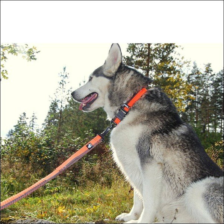 楽天市場 犬 リード 犬用 リード 伸縮リード ロングリード ハンドル付き 大型犬 中型犬 小型犬 トレーニング 犬のリード のび るリード Wanwan Square Garden 楽天市場 犬 リード 犬用 リード 伸縮リード ロングリード ハンドル付き 大型犬 中型犬 小型犬 トレーニング 犬のリード のび るリード Wanwan Square Garden