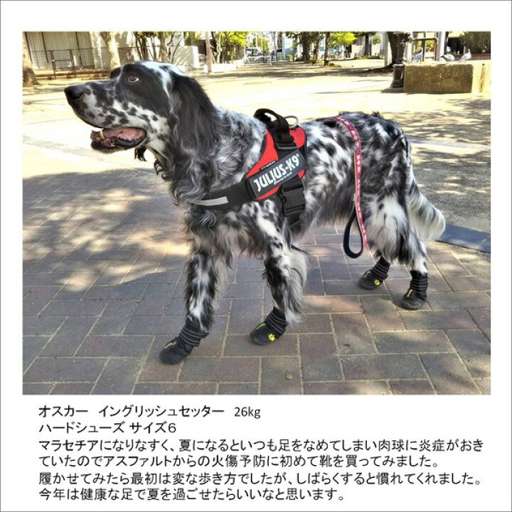 楽天市場 犬 靴 犬靴 犬の靴 ドッグシューズ シューズ ハード 防水 スポーツ 介護 足 怪我 シニア ケア 小型犬 中型犬 Wanwan Square Garden