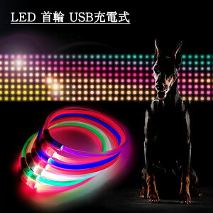 犬 光る首輪の通販 価格比較 価格 Com