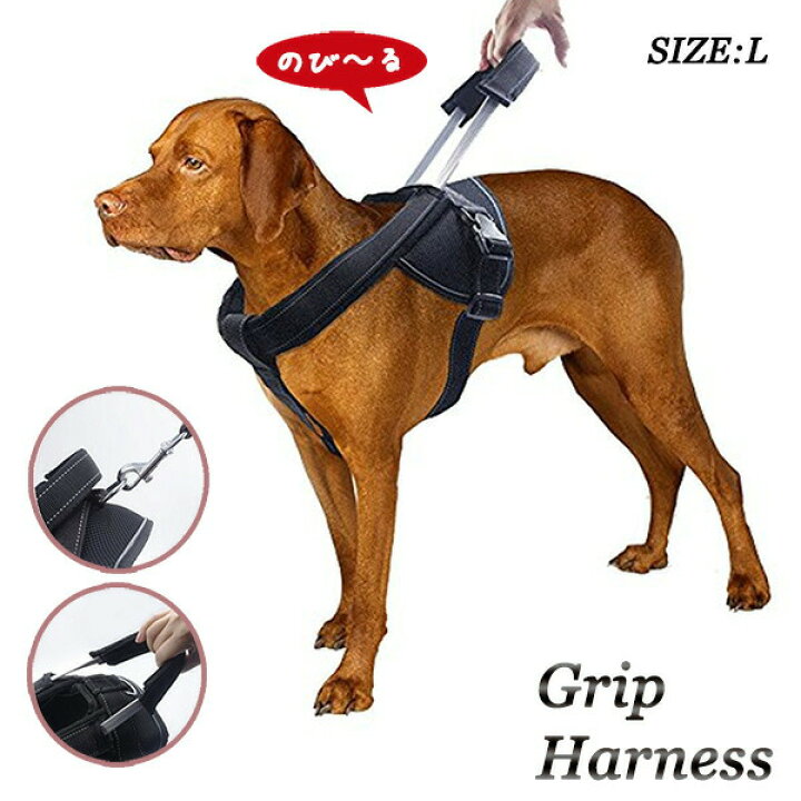 楽天市場 犬用 ハーネス 大型犬 中型犬 しつけ 胴輪 トレーニング 引っ張り防止 高品質 伸縮 のび るハーネス Lサイズ Wanwan Square Garden 楽天市場 犬用 ハーネス 大型犬 中型犬 しつけ 胴輪 トレーニング 引っ張り防止 高品質 伸縮 のび るハーネス Lサイズ Wanwan Square Garden