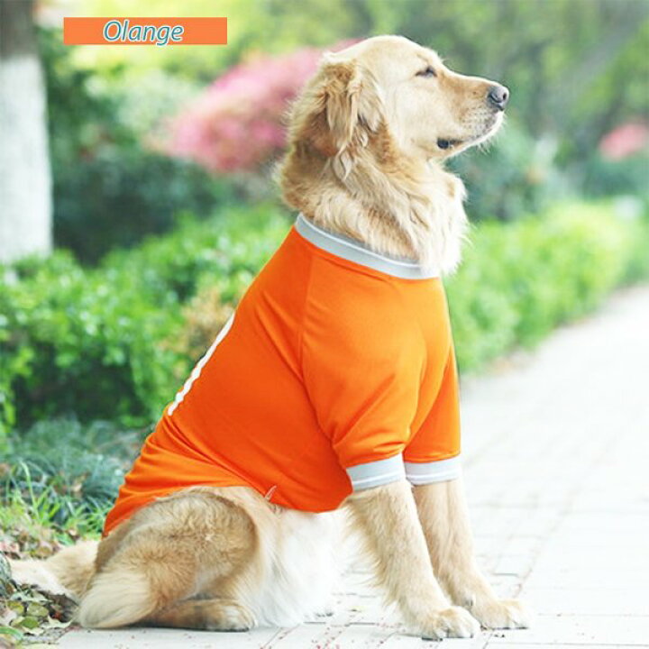 楽天市場 大型犬 服 クール 夏 冷感 サマーメッシュタンクトップ ｔシャツ 暑さ 日差し 抜け毛対策 送料無料 Wanwan Square Garden