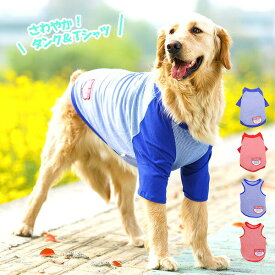 楽天市場 大型犬 服の通販