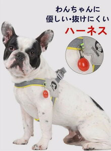  n[lX  S4F ^ ^ n[lX y ɂȂ  bV NbV ̍\ ˋ@\ U 񂱂Ƃo| EH[LO obNpbLO s Oopi