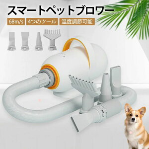 phC[ ybghC[ hC[ u[ 68m/s 4̃mYt x\ @ u[ ƒp ጸ 啗 2200W phC[  p@ ybgwA[