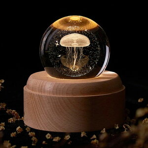 [ꕔbsOΉ] IS[ NX^ {[ ԐڏƖ Xm[h[ NX}X Lbg IS[Xm[{[ NX^{[ ̃v xbhTChv LEDCg USB[d 