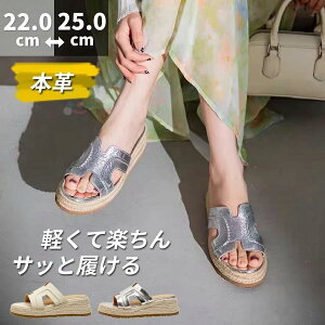 킢 ~[ fB[X T_ W[gT_  5.5cmq[ fB[X T{T_ EGbW\[ n T{