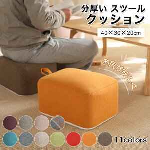 NbV zc Xc[ 40×30×20cm NbV  q  ֎q Ɍ lp [`FA ӂӂ fXN[N p\R Q[ `FA tbgXg ֎q@CeA@k