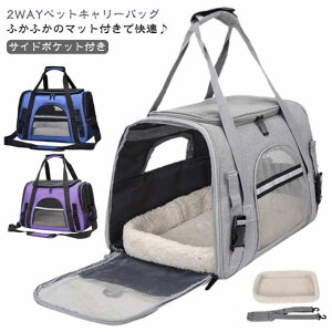  ܂ ybgL[obO L[ P[X 2WAY L[P[X P[W ybgL[ ybgbN T[N