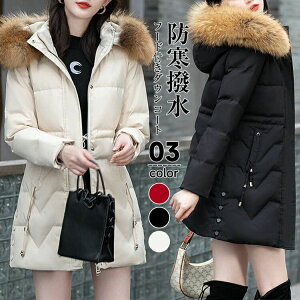 _ER[g R[g fB[X ~ _EWPbg V[gR[g t[ht t@[t |Pbgt t@[O\ AE^[ Wp[ 傫TCY OJ hXg ~h