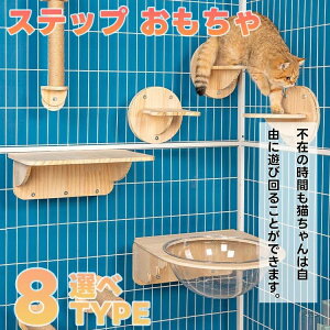 L P[Wp ܂Ƃ Xebv  XNb`[ ܂݂ FD Lp P[WnMOLbg LbgXebv NC~OVFtEH[}EgLbg KiLb