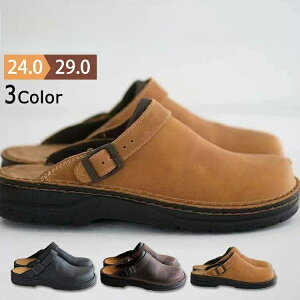 T{ T{T_ Y C  ƂȂ V[Y T_ ItBXT_ JWA Xb| ItBX Xgbv Xbp rWlX X|[c RtH[g  