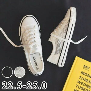 Xj[J[  fB[X jOV[Y EH[LOV[Y WjA AEghA  ؍ ʊw ʋC C w g[jO 20 30 40 50  di229n1