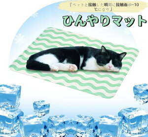 ybgp Ђ}bg u-10 40x50 N[}bg p}bg ⊴WF}bg ЂV[g ⊴}bg ybg}bg MǑ΍ ЂObY N[WF}bg 킢  