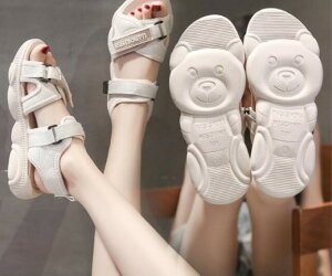  T_ ₷ fB[X Vv Xgbv X|[cT_ X|T xN 킢  TCY 傫TCY T_ r[`T_ s    