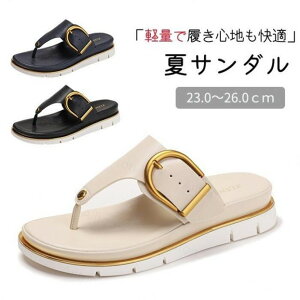 T_ fB[X gOT_  r[`T_ ɂȂ ₷ ăT_ ʋC ₷ [q[ y  킢 l  V 傫TCY 23.0 23.5 24.0 24.5